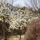 개화역1번출구 이미지