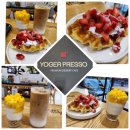 요거프레소대전 이미지