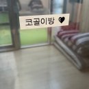 [안산] 대부도 독채 풀빌라 펜션 &#39;더블레싱23&#39; 무조건 재방문 !