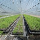 곡성군 산림과 이미지