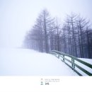 혜원목장 이미지