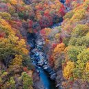 &#34;압도적 스케일, 이래서 1위네&#34;... 올가을 꼭 가봐야 할 단풍 3대 절경 / 지리산 피아골 단풍축제 이미지