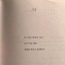 어쩌다 발견한 소담 이미지