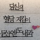 둔산엔도내과의원 이미지