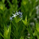 금강수목원(아) 이미지