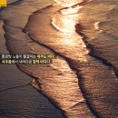 정화여행
