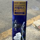 창선약국 | 로게인폼 가격 싸게 사려고 부산 창고형약국 남포동 방문기