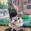 진해신항초등학교 이미지