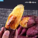 지은유통 | 역대급 당도! 지은농원 베니지민 꿀고구마: 한 입 먹고 바로 정착한 쫀득한 인생 고구마 후기