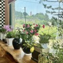 25시가든 이미지