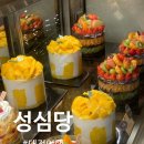 대전여행 성심당 본점/샌드위치 정거장/케익부띠끄/DCC점 후기 빵추천