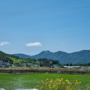 다대11-2 | 아이도 어른도 신났던 4인가족 거제 다대갯벌체험 조개잡이 후기 [갯벌놀이 준비물 총정리]