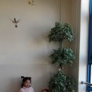 영일유치원 이미지