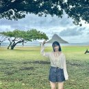 🌴하와이 3박 워크샵(대한항공,울프강,파인애플농장,코나커피,야드하우스,하얏트리젠시,와이켈레)
