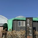 무진농장 | 말 나들이 추천! 율봄 딸기농장 수확 체험 솔직후기 (시간제한 없음, 가성비 최고)