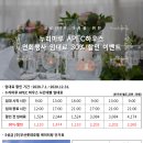 마루 이미지
