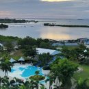 레아네팜 이미지