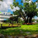 곡성-141 이미지