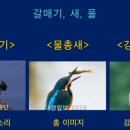 시 창작 길라잡이 (354) // ＜좋은 시 창작 10계명 ③＞ 죽은 시를 살리는 비유, 비유로 시에 날개 달자!/ 권갑하 시인 이미지