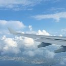 한라오토카 | 2025 여름 제주.