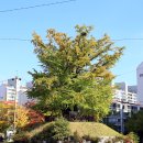 정지막골 이미지