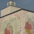 봄사무소 특별전 부산 전시회 막차 탑승 ! 🎪 (방문 후기 및 정보)