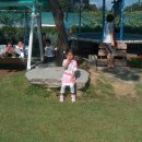 소나무집 이미지