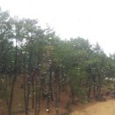 MG새마을금고 옆 이미지