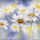 데이지(daisy) 이미지