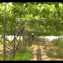 운수동농장 이미지