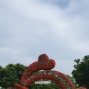 오산회 242회 울산대공원, 태화강국가정원(2024.5.29, 수) 이미지