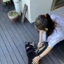 늘제이스테이 이미지