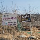 브렌따노편의점