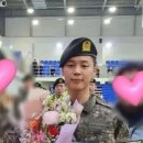 메그네이트비 이미지
