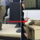 불량고양이