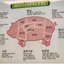 만물정육점