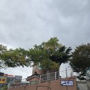 열번째걸음 10월22(수)기장역ㅡ일광ㅡ칠암(부김방과함께) 이미지