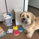 GS25 국제외고점 이미지