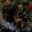 사랑담은치과의원 이미지