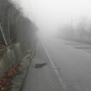 회봉송촌로 이미지