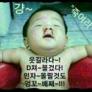 선녀와나무꾼 Daum카페