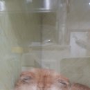 닥터원동물병원 이미지