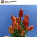 그린인유어룸