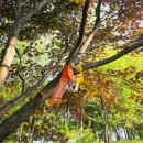 수변연가 | 대전 가볼만한곳 대청호 오백리길 4구간 명상정원 힐링 산책 코스 (주차/포토존)
