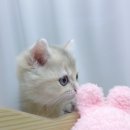 (주) 정글스토리 이미지