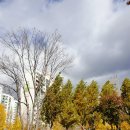 보람소아청소년과의원 이미지