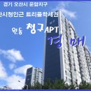 오산시청2 Daum카페