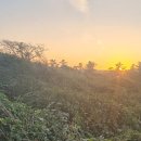 숲속노을로(2) 이미지