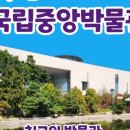 더하리 하우스
