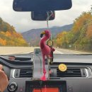 위클라드 펜션 이미지